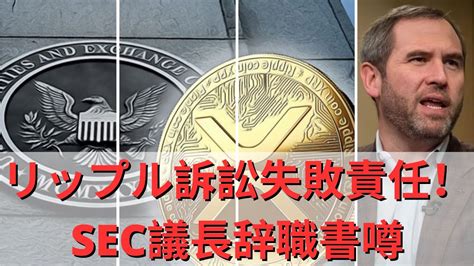 最後に事件終了？ リップル訴訟失敗責任！ Sec議長辞職書噂、「sec配列2位誰だよ」！ ビットコイン20kリテスト可能性？ 視点はいつ頃