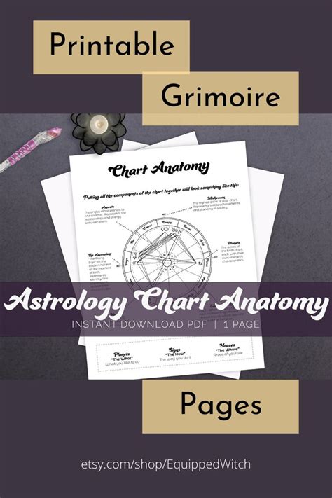 Astrology Chart Anatomy Astrology Basics Bundle Beginner Astrology