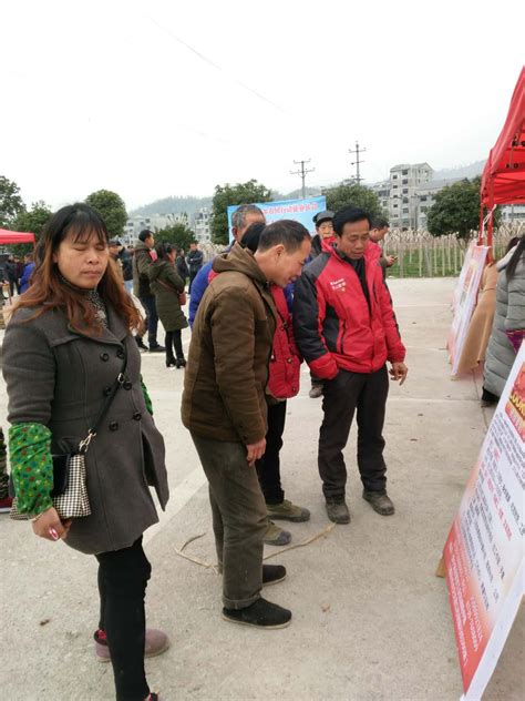 绥宁县人社局：春风拂“绿洲” 就业促脱贫人社政策惠三湘邵阳市人力资源和社会保障局