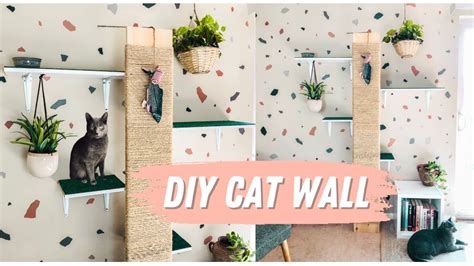 How To Build A Cat Wall Renter Friendly Cat Shelves W Scratch Post