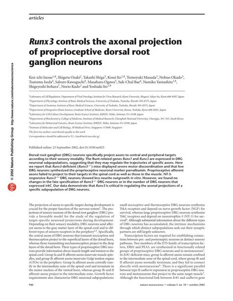 Pdf Runx3 Controls The Axonal Projection Of Proprioceptive Dorsal