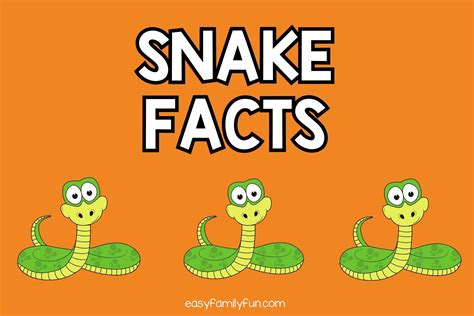 56 Interesting Facts About Snakes Free Fact Cards