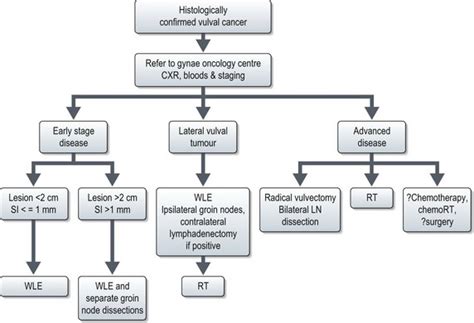 Cancers Of The Female Genital System Oncohema Key