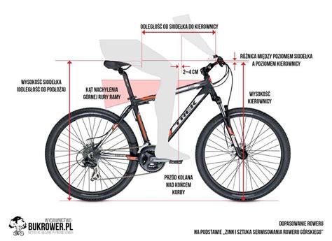 Komfort na dwóch kółkach prawidłowa pozycja na rowerze Wyprawy RoweLove