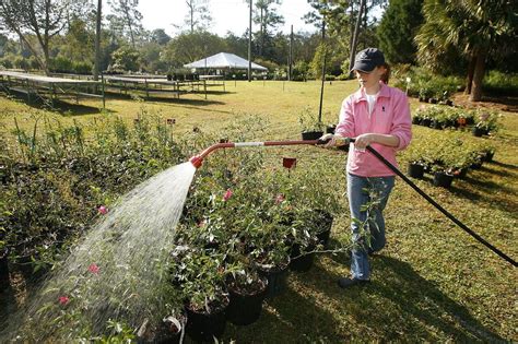 Mobile Botanical Gardens' plant sale continues today through Sunday ...