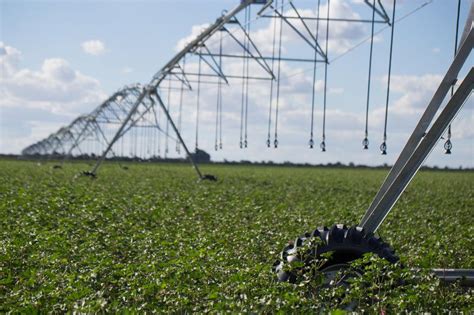 Brasil Receber Tecnologia Para Agricultura Irrigada Sustent Vel