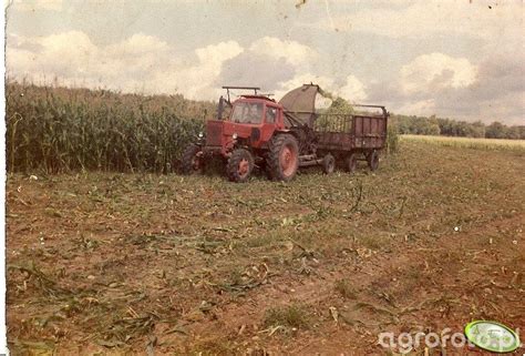 Foto Ciagnik Mtz 82 108786 Galeria Rolnicza Agrofoto