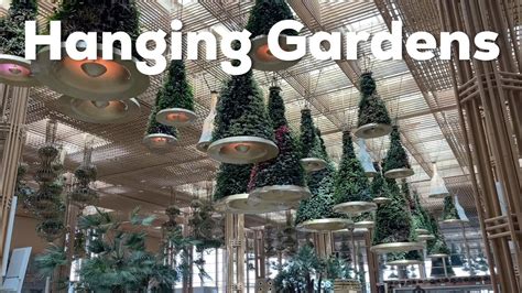 Hanging Gardens In Terminal 2 At Bengaluru Airport Asmr Youtube