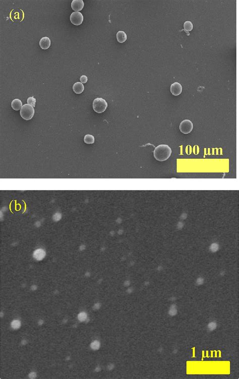 Figure 1 From PLGA Micro And Nanoparticles Loaded Into Gelatin