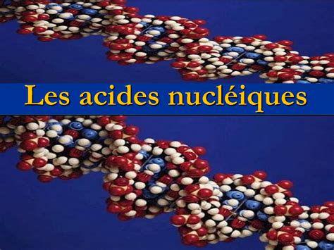 Solution Genetique Acides Nucleiques Studypool