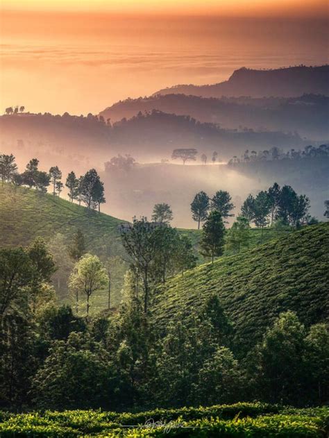 7 Best Places To Visit In Kotagiri For A Wonderful Vacation 𝗧𝗼𝘂𝗿𝗬𝗮𝘁𝗿𝗮𝘀