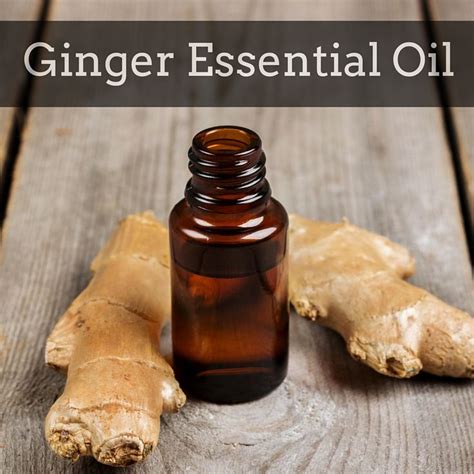 Ginger Essential Oil Ginger Essential Oil Essential Oil Recipes