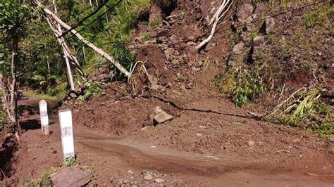 Diguyur Hujan Puluhan Titik Longsor Dan Pohon Tumbang Terjadi Di