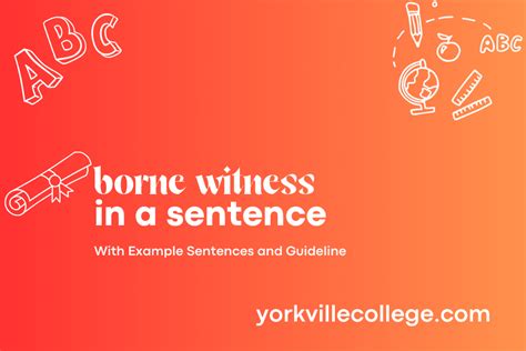 How To Use Borne Witness In A Sentence Easy Examples