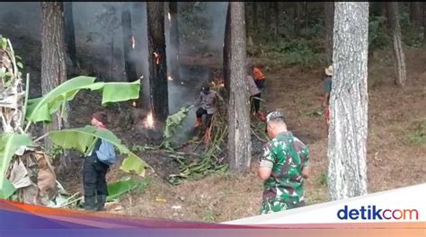 Kebakaran Hutan Gunung Lawu Ngawi Merambat Ke Wilayah Magetan