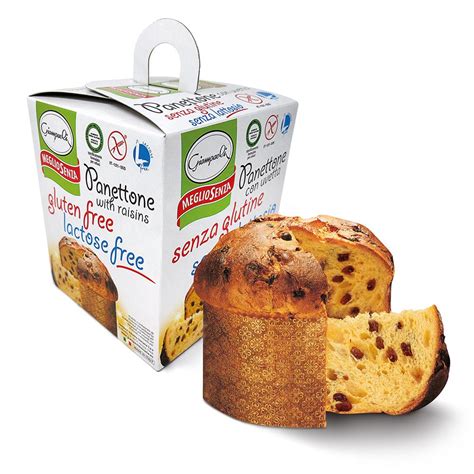 Chocolate Chip Panettone Lactose Gluten Free Giampaoli