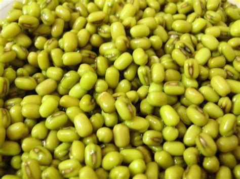 Mamas World Green Gram Dosa Pessarattu