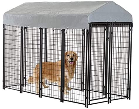 Choosing The Right Dog Crates For Large Dogs