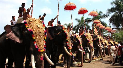 Thrissur Pooram: Kerala’s Most Iconic Temple Festival is Here! | ixigo ...