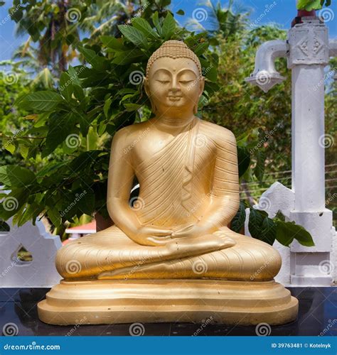 Buddha Gold Statue In Matara Sri Lanka Stock Photo Image