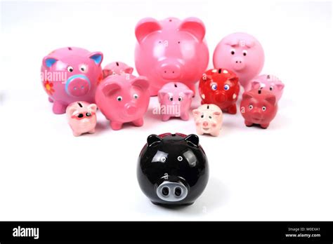 Still Life Of A Group Of Piggy Banks Stock Photo Alamy