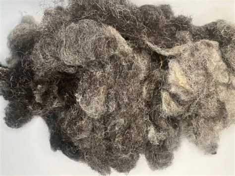 Herdwick Core Wool Scoured Wool Woolgathering