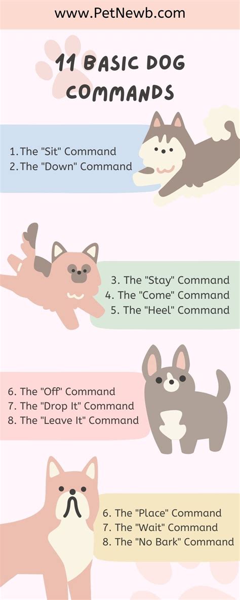 11 Basic Dog Commands Your Dog Should Know – Pet Newb