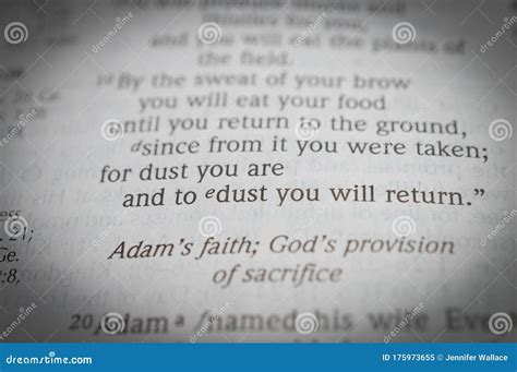 Genesis 13 For Dust You Are And To Dust You Will Return Stock Image