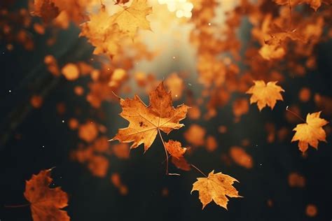 Autumn background backgrounds leaves yellow. | Premium Photo - rawpixel