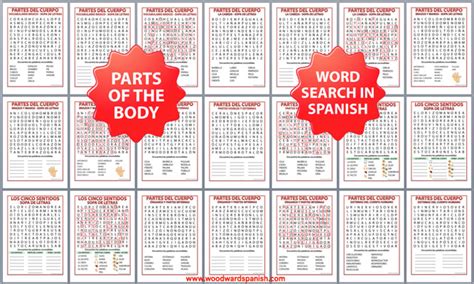 31 Partes Del Cuerpo Word Search ConnonNarjis