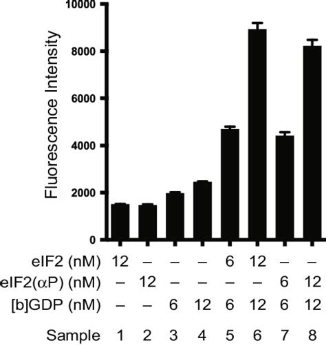 Loading Of BODIPY FL GDP On EIF2 Increases The Fluorescence Bar