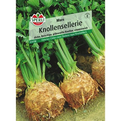 Sperli Gmbh Knollensellerie Mars Fleischige Vitaminreiche Knollen