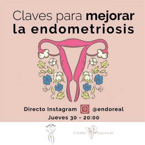 Claves Para Mejorar La Endometriosis Endoreal Asociaciones Ciudad Real