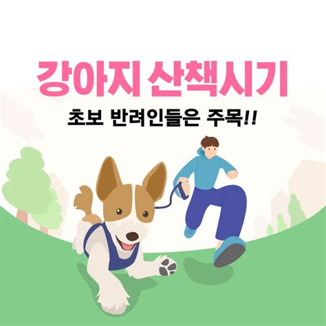 ﻿강아지 산책시기 및 산책시 주의사항 Panion Magazine