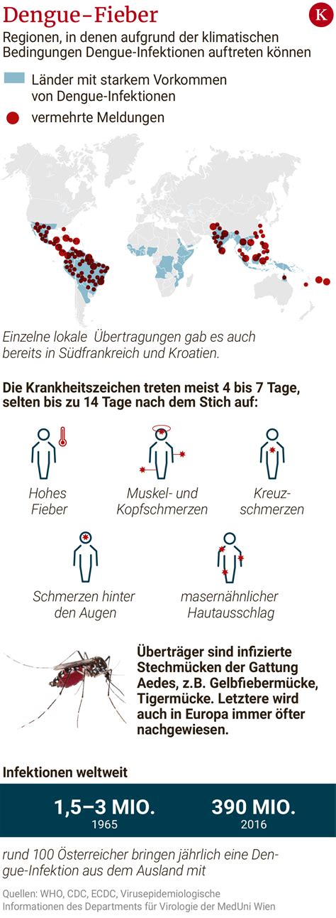 Dengue Malaria Tollwut Was Reisende Jetzt Wissen Sollten