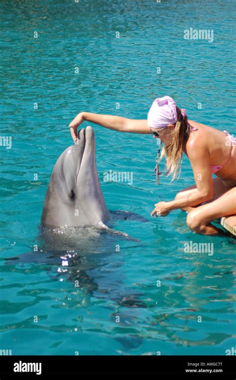 Israel Eilat Dolphin reef Stock Photo - Alamy