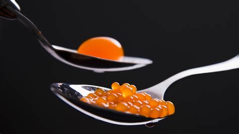 The Ultimate Beginners Guide To Molecular Gastronomy Chenab Gourmet