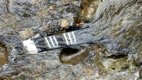 Prospecting The Raging River In Washington State For Gold Youtube