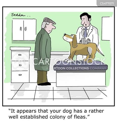 Fleas Cartoons And Comics Funny Pictures From Cartoonstock