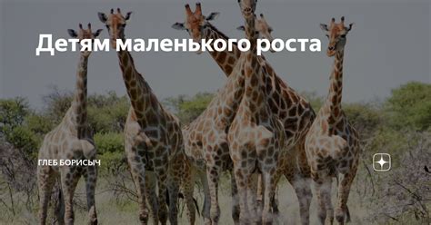 Детям маленького роста | Глеб Борисыч | Дзен