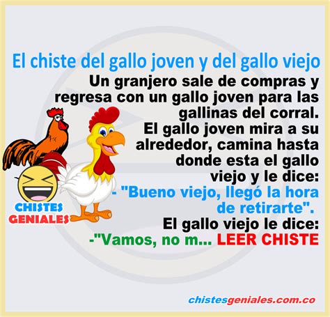 El Chiste Del Gallo Joven Y Del Gallo Viejo Chistes Geniales