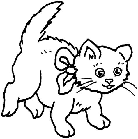 Котик раскраска цветная (много фото) - drawpics.ru