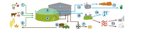 Come Funziona Un Impianto Di Biogas