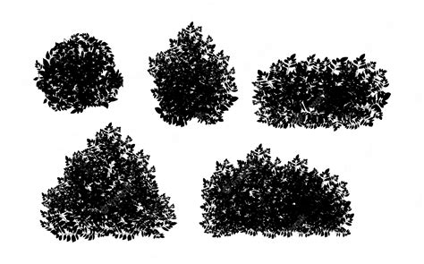 Premium Vector Set Of Ornamental Black Plant In The Form Of A Hedgerealistic Garden Shrub