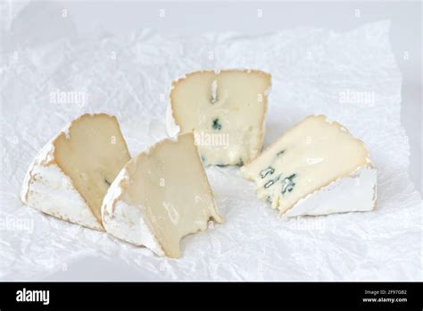 Pieces Of Camembert Or Brie Cheese Isolated On White Background Soft