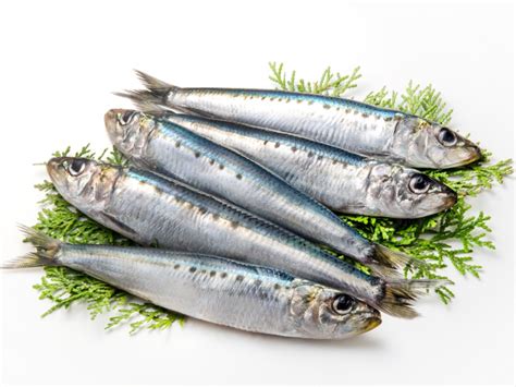 Small Sardines Fresh 500g Votre Pote Age