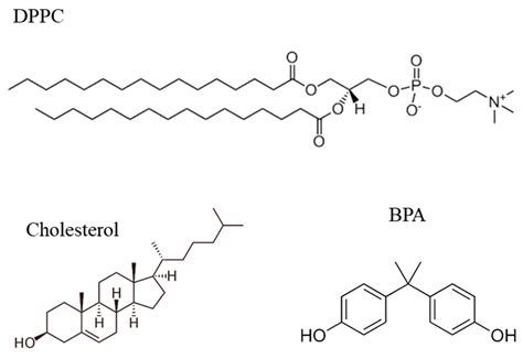 Membranes Free Full Text The Role Of Cholesterol In The Interaction