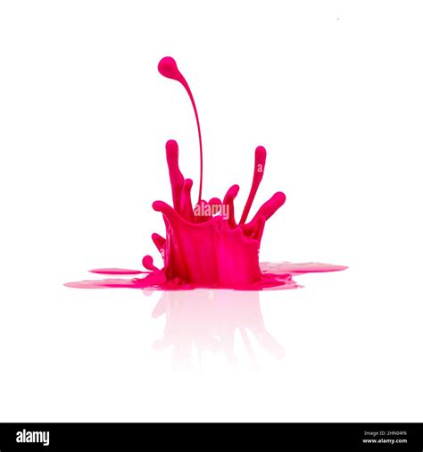 Pink Paint Splash Isolated On White Stock Photo Alamy