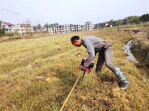 農民種地都說不掙錢，那為什麼都還在種呢？ 每日頭條