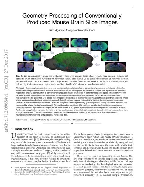 Geometry Processing of Conventionally Produced Mouse Brain Slice Images | DeepAI